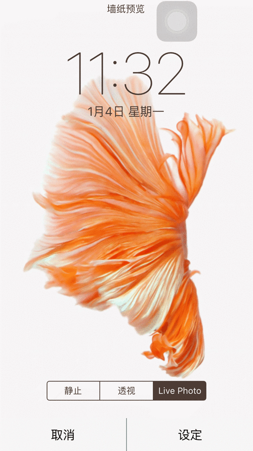 手机动态壁纸推荐：如何选择适合自己的动态壁纸并避免耗电问题