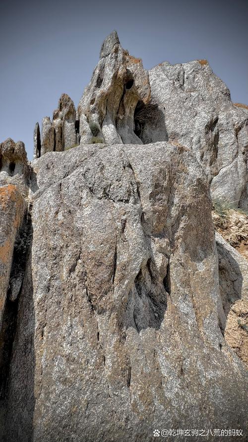 猎龙指南：掌握知识与装备，绝非浪漫冒险！团队配合胜于个人勇武