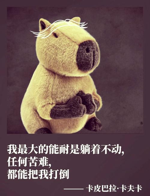 笨鼠过河的启示：面对困难，三种心态决定成败！你属于哪一种？