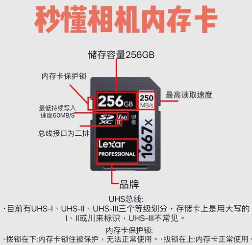 SD卡根目录是什么？一篇文章讲清楚它在哪、怎么用才不乱