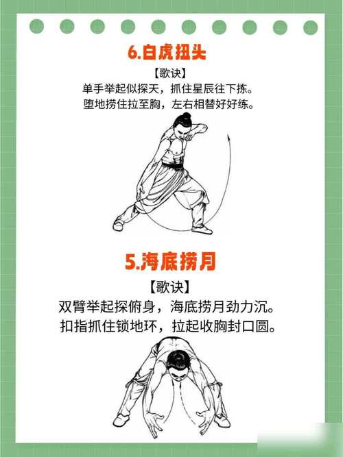 决战峨眉到底是个啥？揭秘真实武林盛会如何提升实战功夫