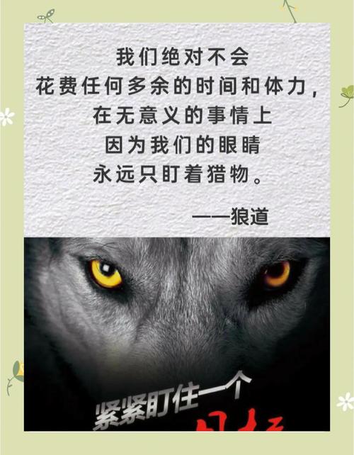 狼舞九天：狼群协作的生存哲学与现代团队管理启示