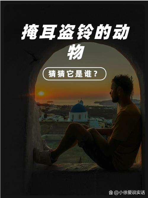 动物装饰篮是实用还是鸡肋？听听设计师怎么说，揭秘背后问题