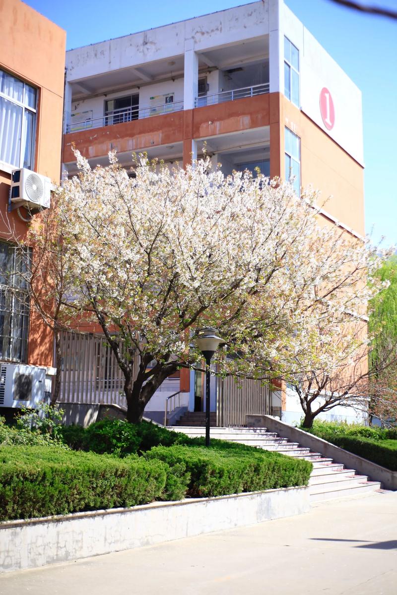 在费县一中当老师：教育就藏在每天的小事里