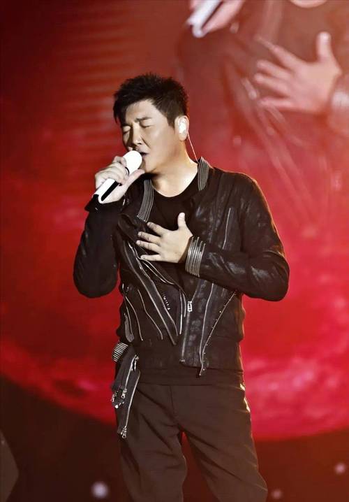 孙楠退赛事件深度解析：行业规则与个人选择冲突的思考