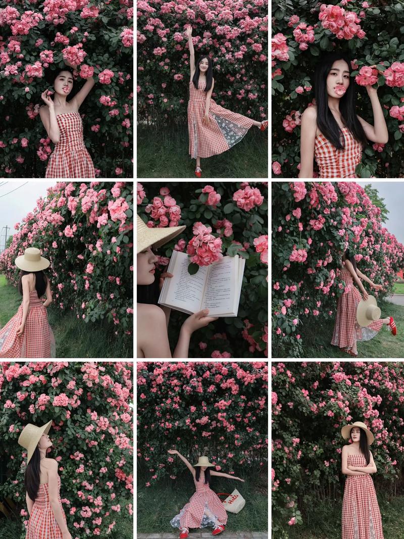 花房拍照技巧与玩法攻略，教你拍出绝美大片